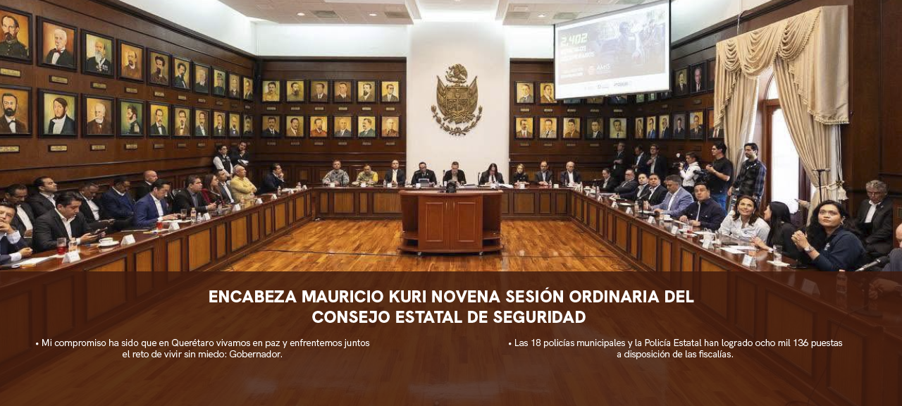 Seguridad Querétaro